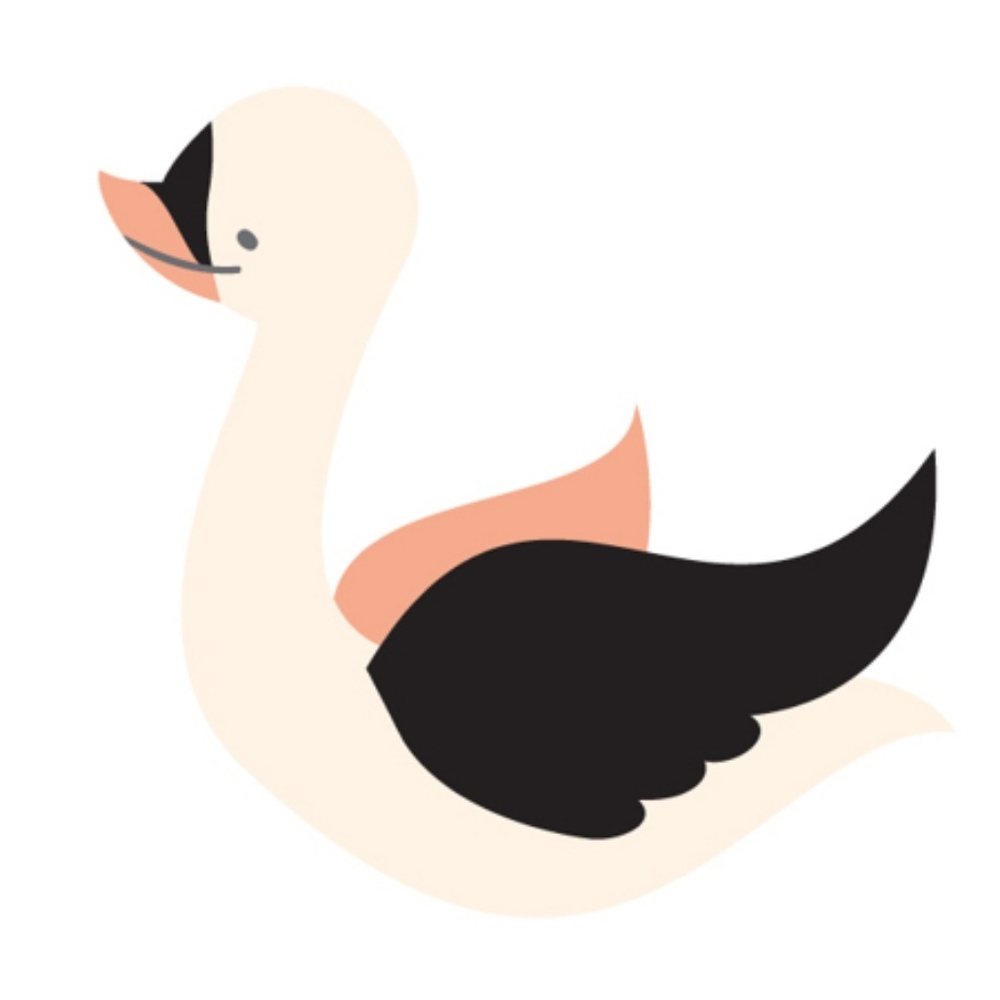 Meet your Posher, Ariel